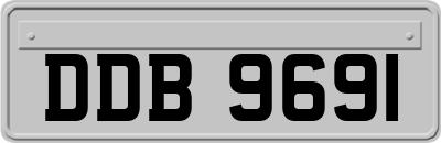 DDB9691
