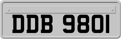 DDB9801