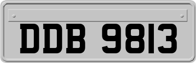 DDB9813