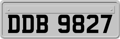 DDB9827