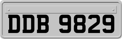 DDB9829