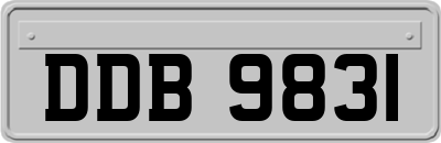 DDB9831