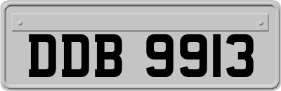 DDB9913
