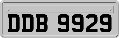 DDB9929