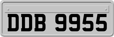 DDB9955