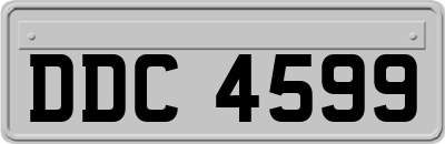 DDC4599