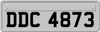 DDC4873