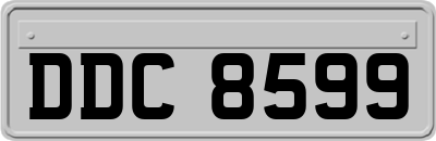 DDC8599