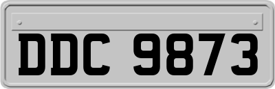 DDC9873