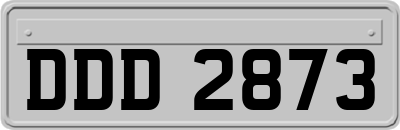 DDD2873