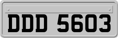 DDD5603