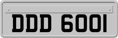 DDD6001