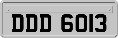 DDD6013