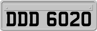 DDD6020
