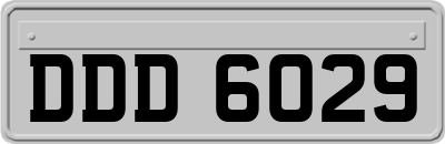 DDD6029