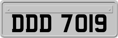 DDD7019