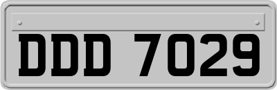 DDD7029