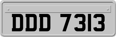 DDD7313