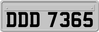 DDD7365