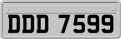 DDD7599