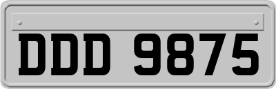 DDD9875