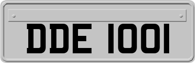 DDE1001