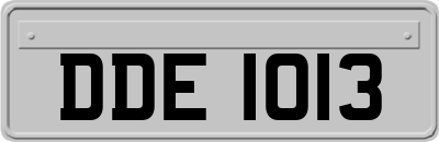 DDE1013