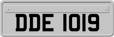DDE1019