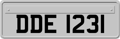 DDE1231