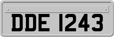 DDE1243