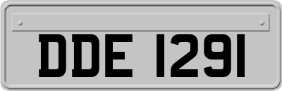 DDE1291