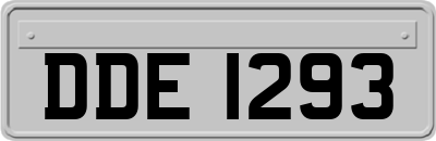 DDE1293