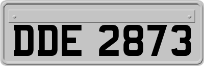 DDE2873