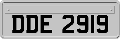 DDE2919
