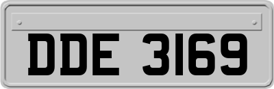 DDE3169