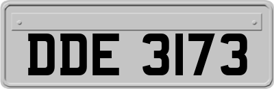 DDE3173