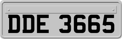 DDE3665