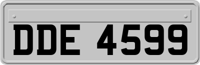 DDE4599