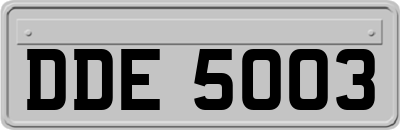 DDE5003