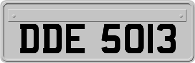 DDE5013