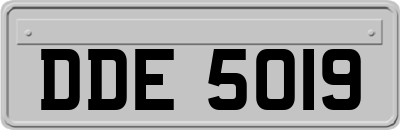 DDE5019