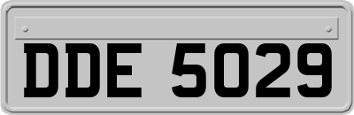 DDE5029