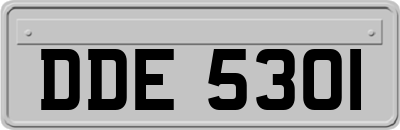 DDE5301