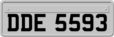 DDE5593