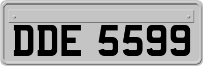 DDE5599