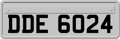 DDE6024