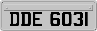 DDE6031