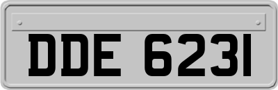 DDE6231