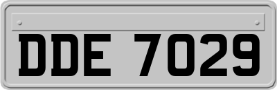DDE7029