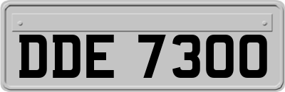 DDE7300